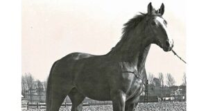 Paul Schockemöhle’s secret weapon: Conthargos