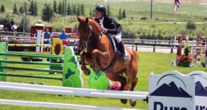 CWHBA expanding auction sales to meet new market