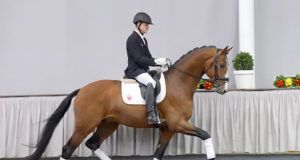 61st Westfalian Elite Auction Online