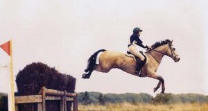 Connemara’s 1,000-year influence on sport horses
