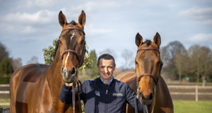 Denis Lynch focuses on top sport and breeding