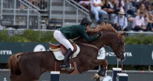 Jumper breeding mathematics: Analyzing the ‘numbers’