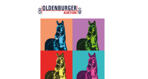 Oldenburg Spring collection online