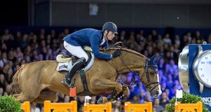 Breeding ‘tight’: Jumping vs. dressage reliability