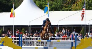 GFE Candy de Nantuel: A rising star for Selle Français