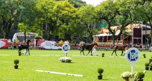Brazilian Showjumping Horse Festival 16th edition surprises