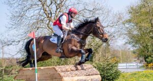 Irish Sport Horses dominate at home and abroad