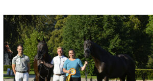 Danish Warmblood Elite Show 2021