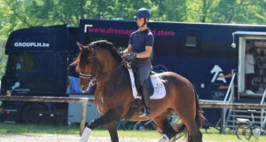Shining five-star mare, and convincing Equador