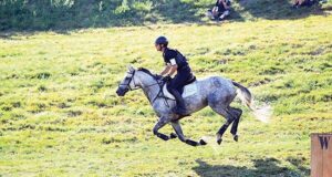 A never-ending Anglo-Arabian love AffAir