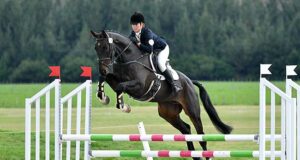 Norbert Boley’s response to semen traceability issues