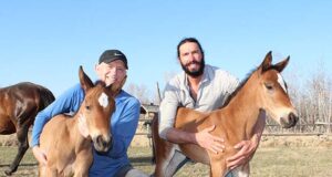 Miracle blue-blooded SF twins born in rural Manitoba