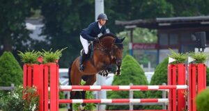 Holsteiner Pferdetage: Sport and breeding at one location