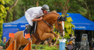 BH horses are back on the international scene