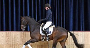 KWPN stallion performance tests successfully conclude