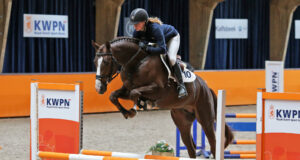 Eleven jumping stallions approved by KWPN
