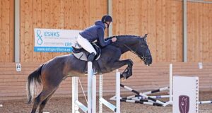 Estonian Sport Horse 2021 stallion licensing
