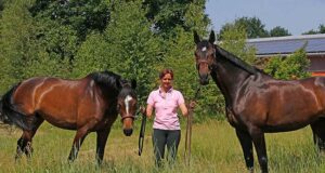 Evi Bengtsson creates a breeding dynasty with Ulika
