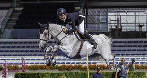 Tokyo OG for a trio of New Zealand Warmbloods