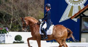 Will KWPN horses repeat their OG success from Rio 2016?