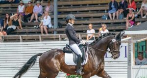 Falsterbo Horse Show: A dress rehearsal for the future