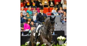 Marc-Peter Spahn: Friesian dressage horse ambassador