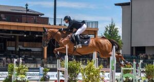 Brazilian Sport Horse crowned overseas champion