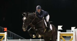 Equestrian Sports NZ unusual sport horse sire rankings
