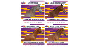 SF 2021 foal championship concludes