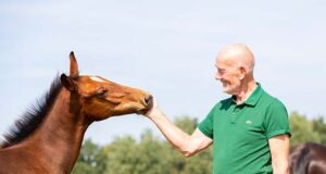 Willy Wijnen: “Breeding with the right genes…”