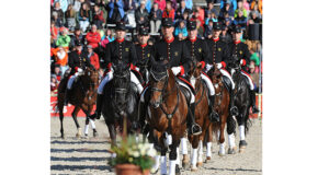 State Stud Marbach Stallion Parade