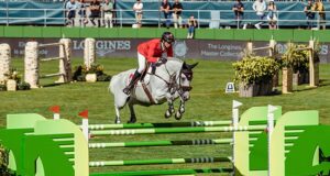 Showjumping Europeans a triumph for sire Cardento