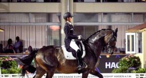 European dressage analysis: Influential championship sires