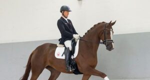 Diamonique dances to top price ranking at €220,000