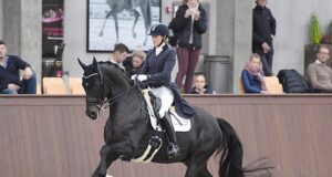 Five DWB horses win national horse championships