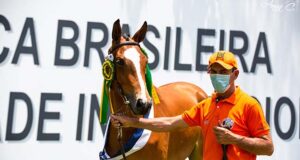 The long-awaited 16th Brazilian Sport Horse Festival