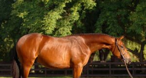 Just The Best: Turned heads during his lifetime (1991-2021)
