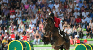New Zangersheide stallion: HH Conrad