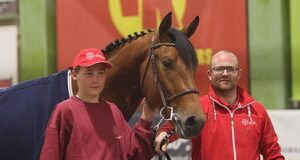 New approach to the BWP National Breeding Day