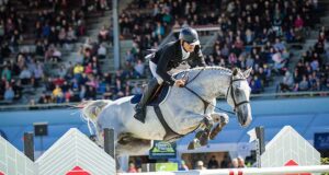 NZ Horses of Distinction: New awards, new breeding initiatives