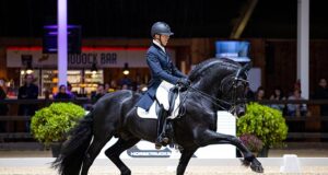 Wirdmer and Elias 494: Friesian dressage ambassadors