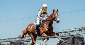 Six of top seven in Tokyo – SF year-end top-ranked studbook
