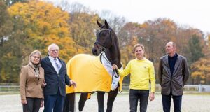 Hannoveraner Stallion of the Year: Fidertanz dances to top