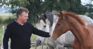 Bas Huijbrechts: Portrait of a modest, seasoned breeder