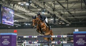 Successful but under-rated Thunder van de Zuuthoeve