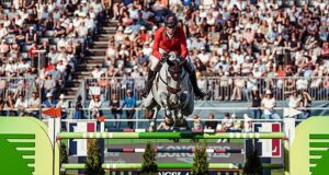 Historic duo selected as 2020 KWPN horses of the year