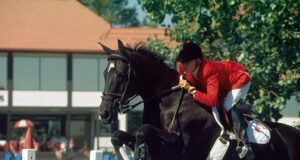 The New Zealand ‘All Blacks’ of the sport horse world