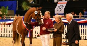 Esmeraldo defies opposition to claim top Holsteiner title