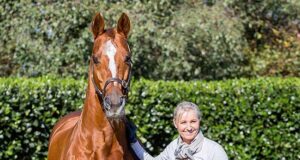 New Zealand loses a trio of star Hanoverians in 2021