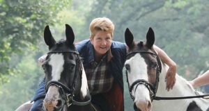 Thoroughly ‘feminine’ sport horse breeding perspectives…